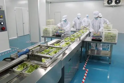 上海儒匯中央廚房2000m凈菜加工冷藏庫工程案例